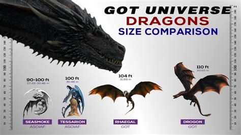 ditlet|Dragon Comparison .